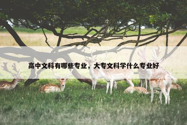 高中文科有哪些专业，大专文科学什么专业好
