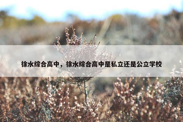 徐水综合高中，徐水综合高中是私立还是公立学校