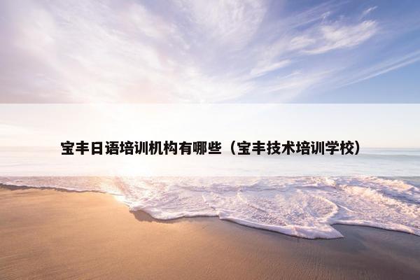宝丰日语培训机构有哪些（宝丰技术培训学校）