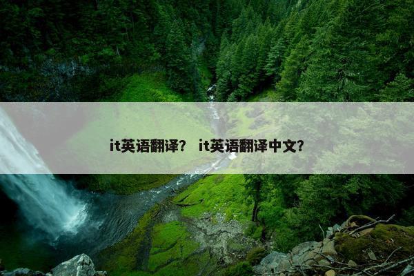 it英语翻译？ it英语翻译中文？