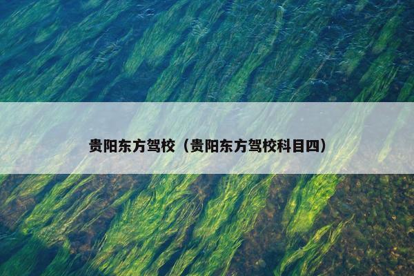 贵阳东方驾校（贵阳东方驾校科目四）