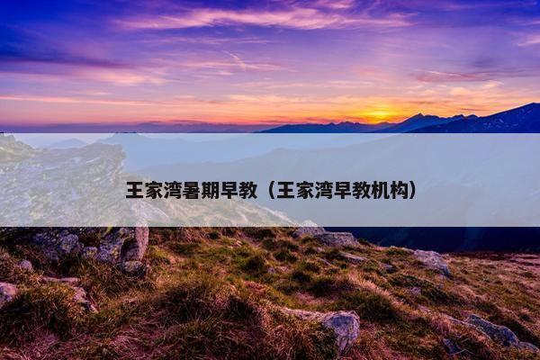 王家湾暑期早教（王家湾早教机构）