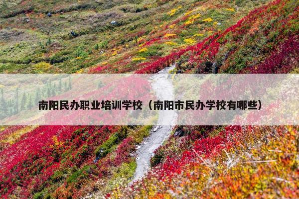 南阳民办职业培训学校（南阳市民办学校有哪些）