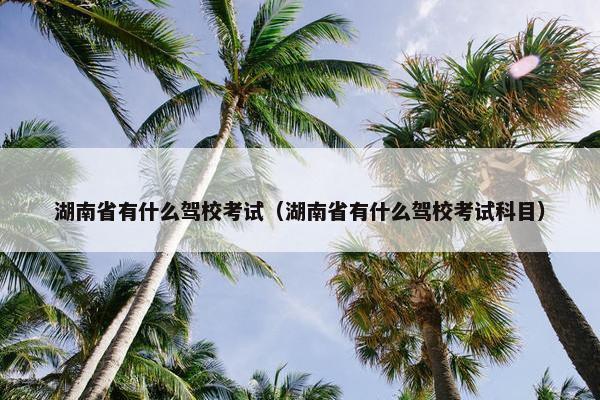 湖南省有什么驾校考试（湖南省有什么驾校考试科目）