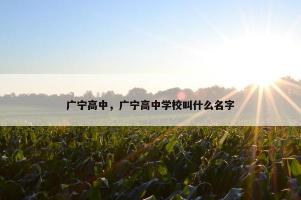 广宁高中，广宁高中学校叫什么名字