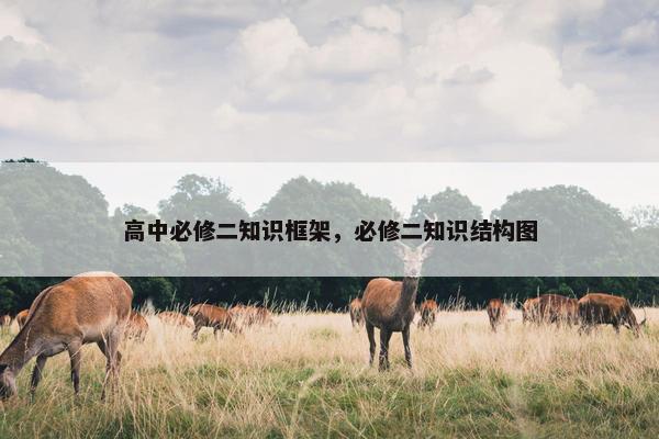 高中必修二知识框架，必修二知识结构图