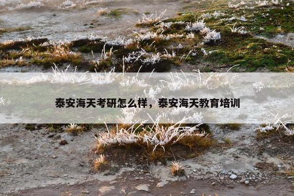 泰安海天考研怎么样，泰安海天教育培训