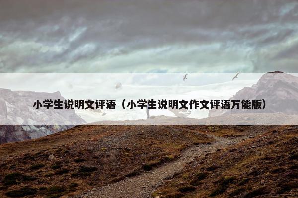 小学生说明文评语（小学生说明文作文评语万能版）