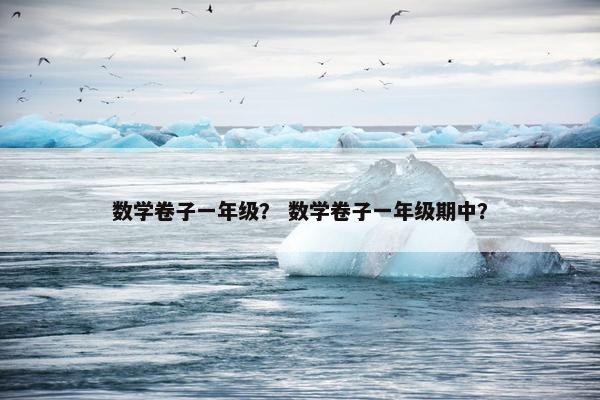数学卷子一年级？ 数学卷子一年级期中？