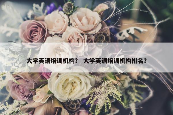 大学英语培训机构？ 大学英语培训机构排名？