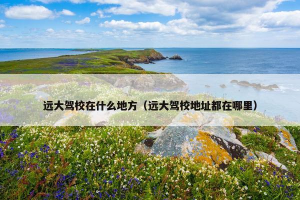 远大驾校在什么地方（远大驾校地址都在哪里）