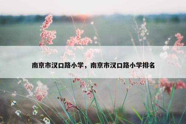 南京市汉口路小学，南京市汉口路小学排名