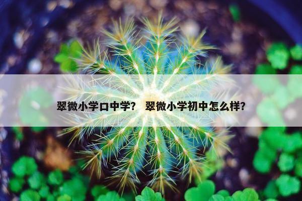 翠微小学口中学？ 翠微小学初中怎么样？