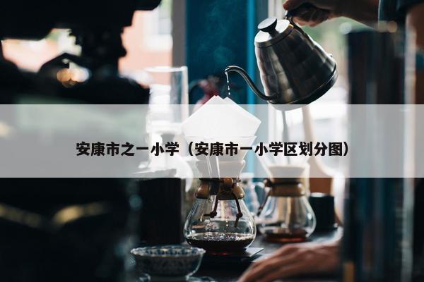 安康市之一小学（安康市一小学区划分图）