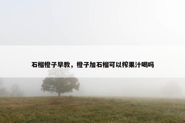 石榴橙子早教，橙子加石榴可以榨果汁喝吗
