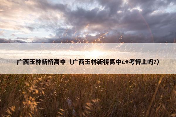 广西玉林新桥高中（广西玉林新桥高中c+考得上吗?）