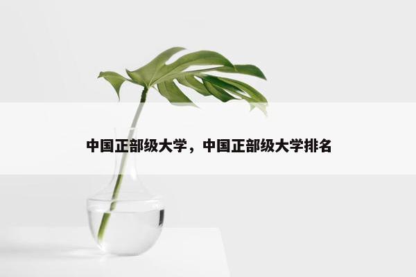 中国正部级大学，中国正部级大学排名
