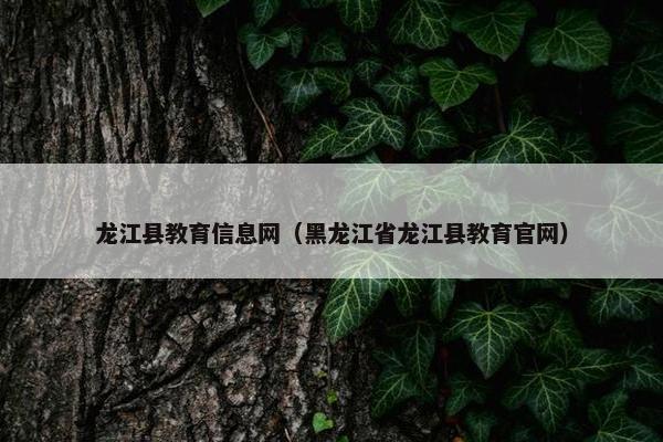龙江县教育信息网（黑龙江省龙江县教育官网）