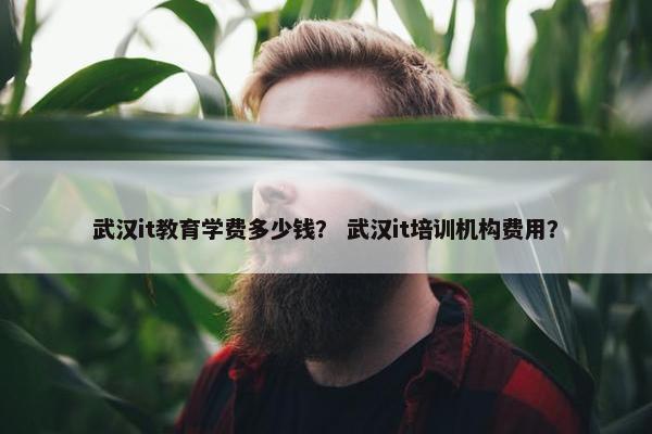 武汉it教育学费多少钱？ 武汉it培训机构费用？