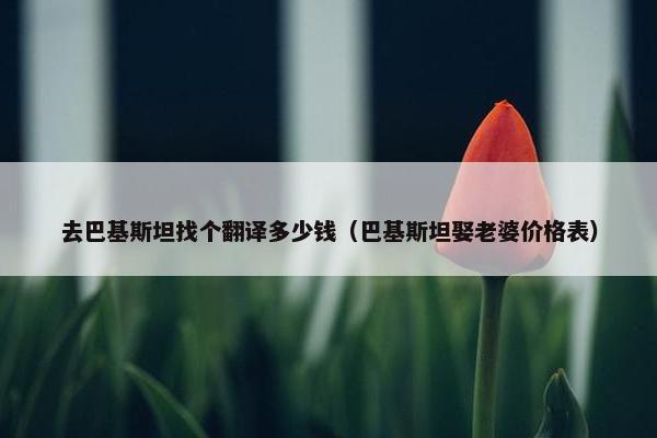 去巴基斯坦找个翻译多少钱（巴基斯坦娶老婆价格表）