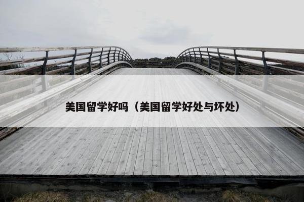 美国留学好吗（美国留学好处与坏处）
