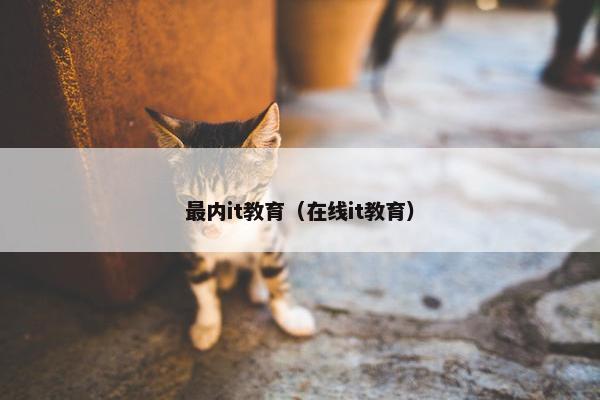 最内it教育（在线it教育）