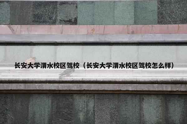 长安大学渭水校区驾校（长安大学渭水校区驾校怎么样）