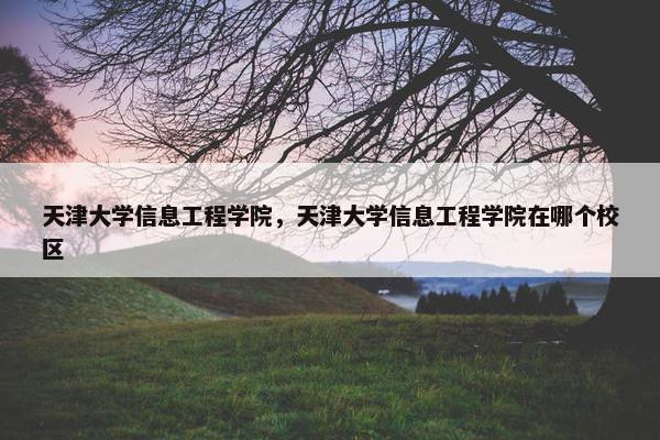 天津大学信息工程学院，天津大学信息工程学院在哪个校区