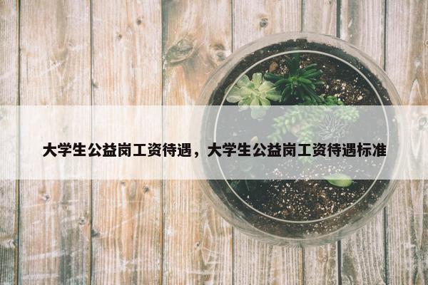 大学生公益岗工资待遇，大学生公益岗工资待遇标准