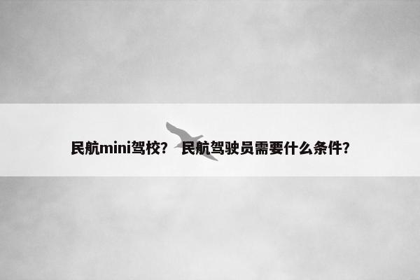 民航mini驾校？ 民航驾驶员需要什么条件？