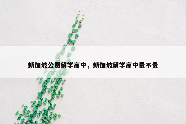 新加坡公费留学高中，新加坡留学高中贵不贵