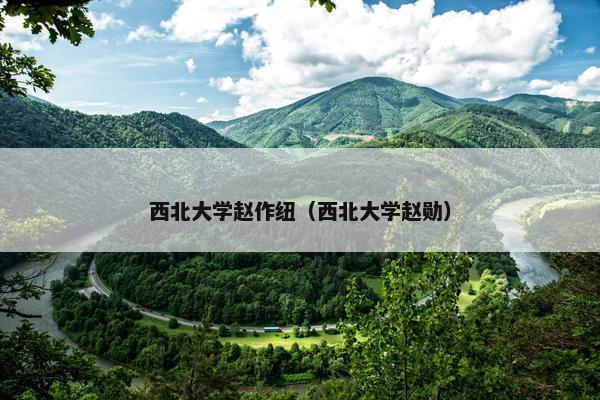 西北大学赵作纽（西北大学赵勋）