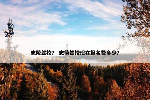 志陵驾校？ 志德驾校现在报名费多少？