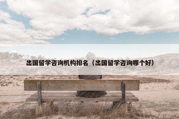 出国留学咨询机构排名（出国留学咨询哪个好）