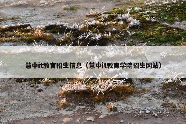 慧中it教育招生信息（慧中it教育学院招生网站）