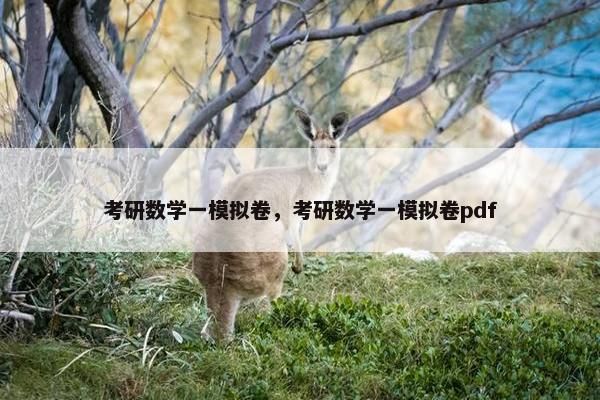 考研数学一模拟卷，考研数学一模拟卷pdf