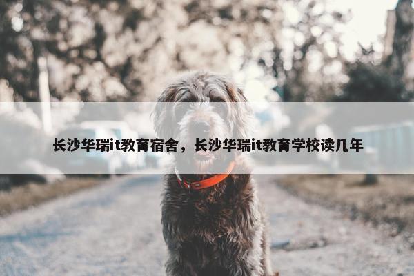 长沙华瑞it教育宿舍，长沙华瑞it教育学校读几年