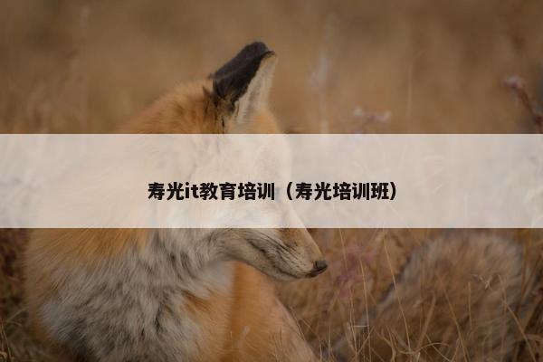 寿光it教育培训（寿光培训班）