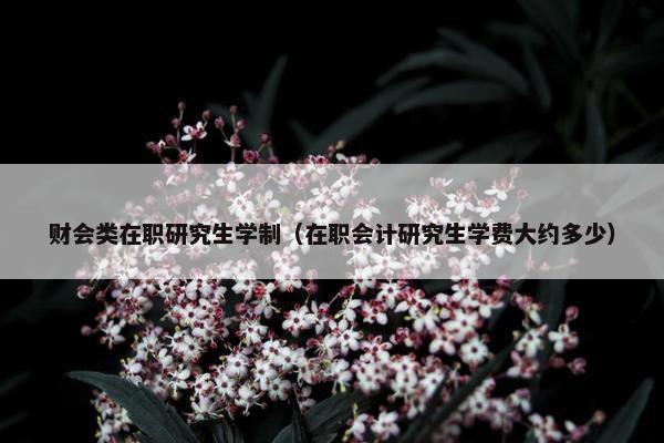 财会类在职研究生学制（在职会计研究生学费大约多少）