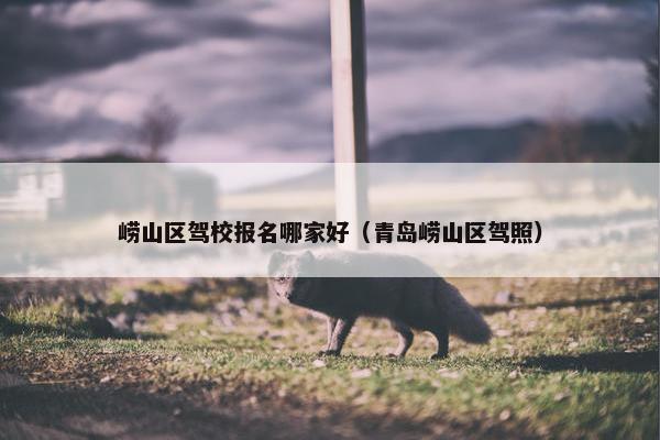 崂山区驾校报名哪家好（青岛崂山区驾照）