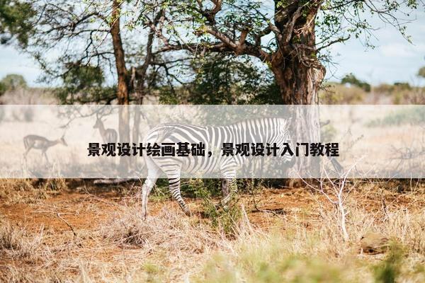 景观设计绘画基础，景观设计入门教程