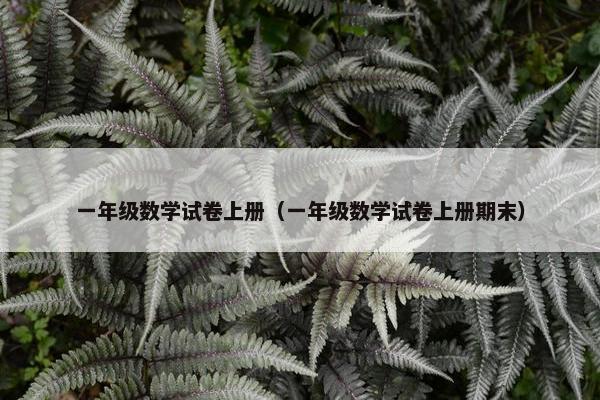 一年级数学试卷上册（一年级数学试卷上册期末）