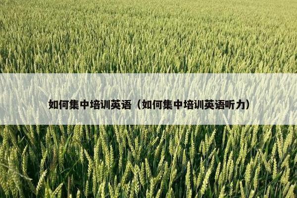 如何集中培训英语（如何集中培训英语听力）