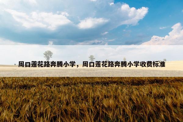 周口莲花路奔腾小学，周口莲花路奔腾小学收费标准