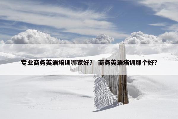 专业商务英语培训哪家好？ 商务英语培训那个好？
