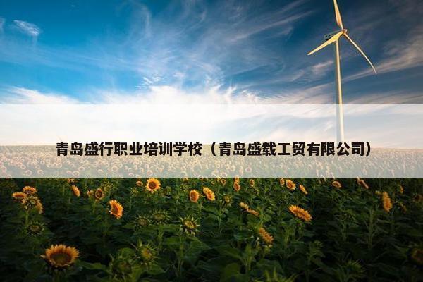 青岛盛行职业培训学校（青岛盛载工贸有限公司）