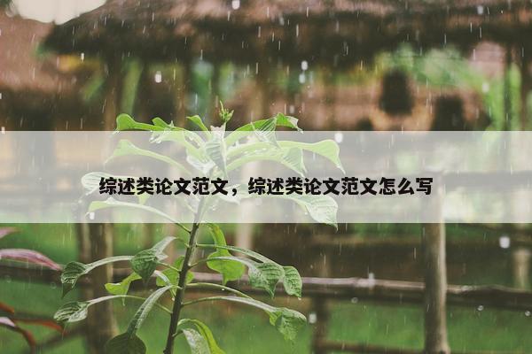 综述类论文范文，综述类论文范文怎么写