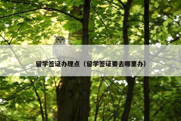 留学签证办理点（留学签证要去哪里办）