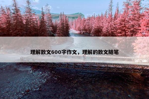 理解散文600字作文，理解的散文随笔