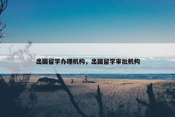 出国留学办理机构，出国留学审批机构